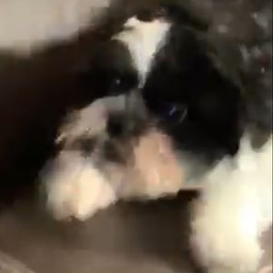 Meet your Posher, Angélica